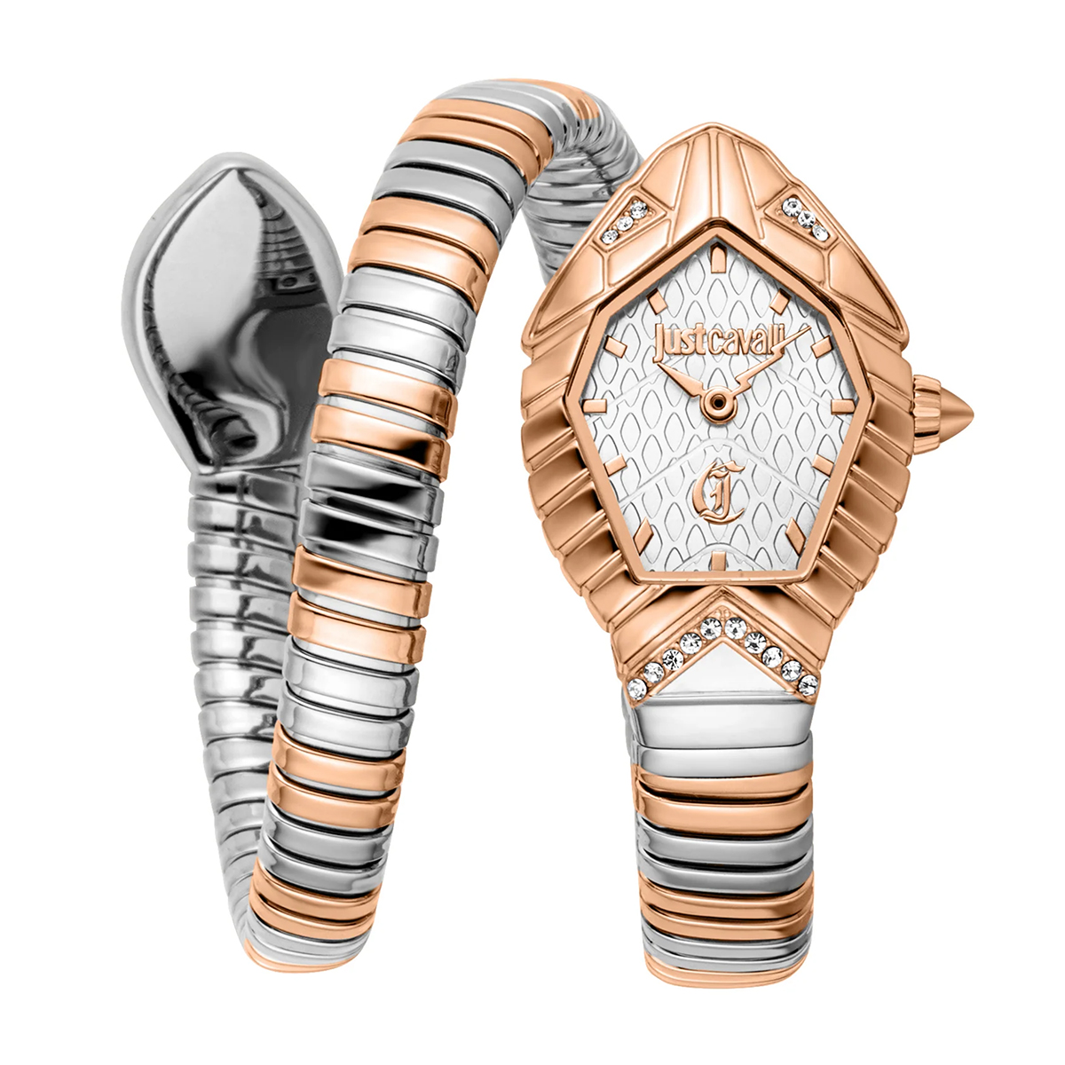 MONTRE JUST CAVALI FEMME SIMPLE ACIER